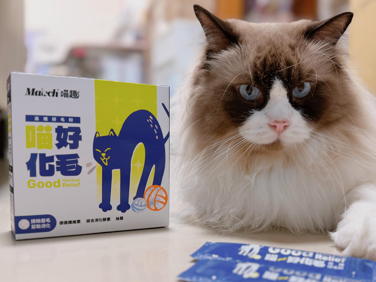貓化毛粉推薦 貓化毛粉評比 喵趣 貓咪營養品