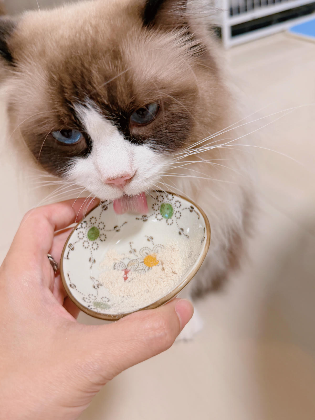 【貓化毛粉評比】貓奴親測四款貓化毛粉:喵趣、木入森、毛孩時代、汪喵星球∣最愛的喵趣貓化毛粉推薦/貓咪營養品 - 第16張圖 貓化毛粉推薦 貓化毛粉評比 喵趣 貓咪營養品