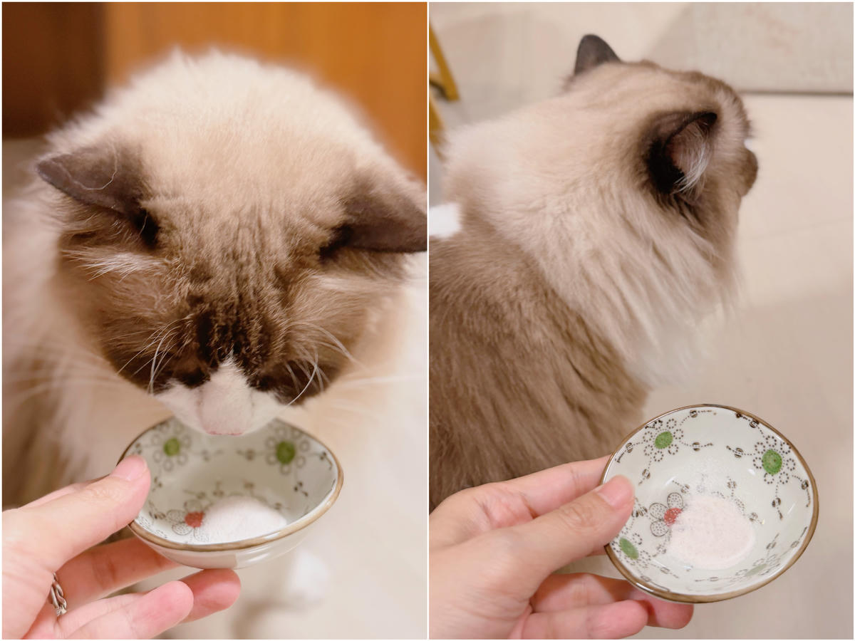 【貓化毛粉評比】貓奴親測四款貓化毛粉:喵趣、木入森、毛孩時代、汪喵星球∣最愛的喵趣貓化毛粉推薦/貓咪營養品 - 第20張圖 貓化毛粉推薦 貓化毛粉評比 喵趣 貓咪營養品