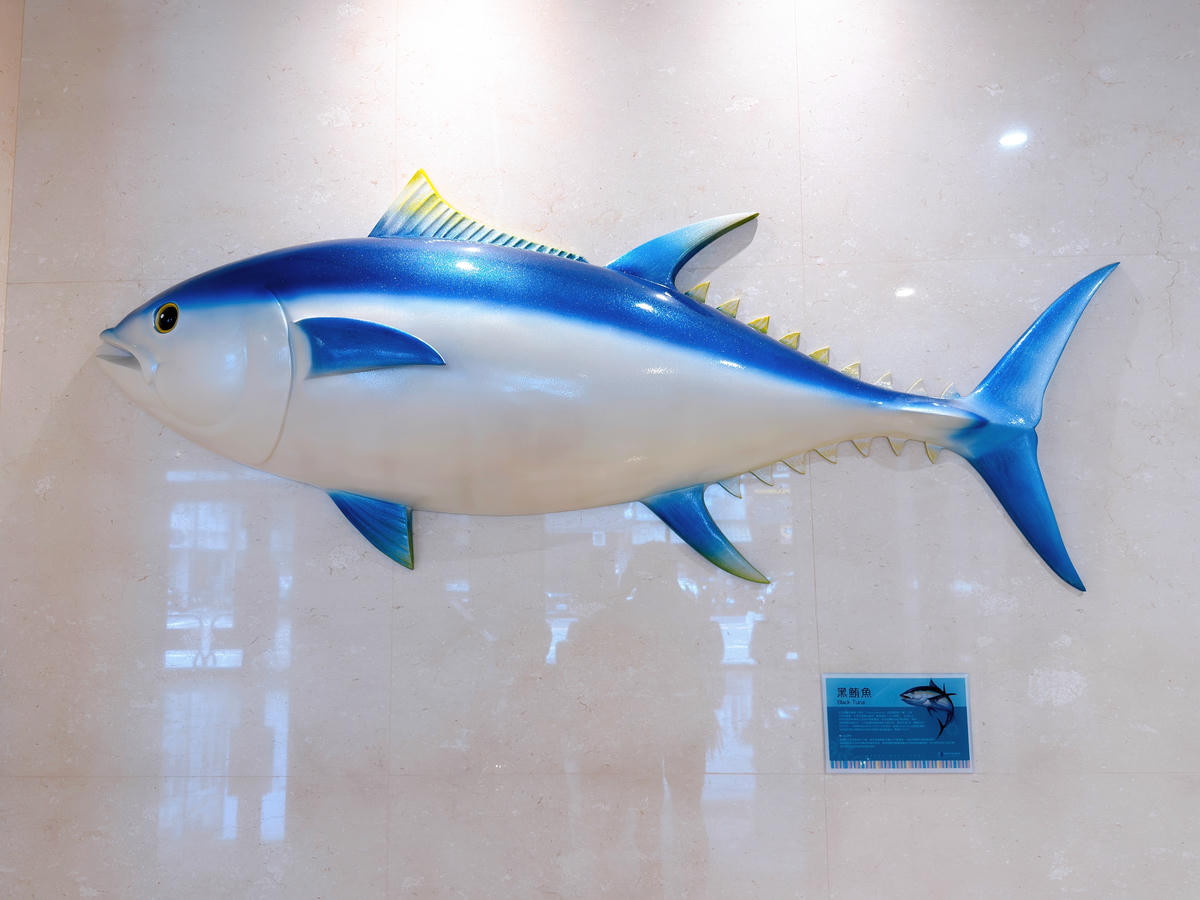 【高雄住宿分享】鮪魚家族飯店.高雄館 Fish Hotel Kaohsiung|地點好、親子友善、高雄旅遊安心選擇 - 第8張圖 鮪魚家族飯店 高雄館