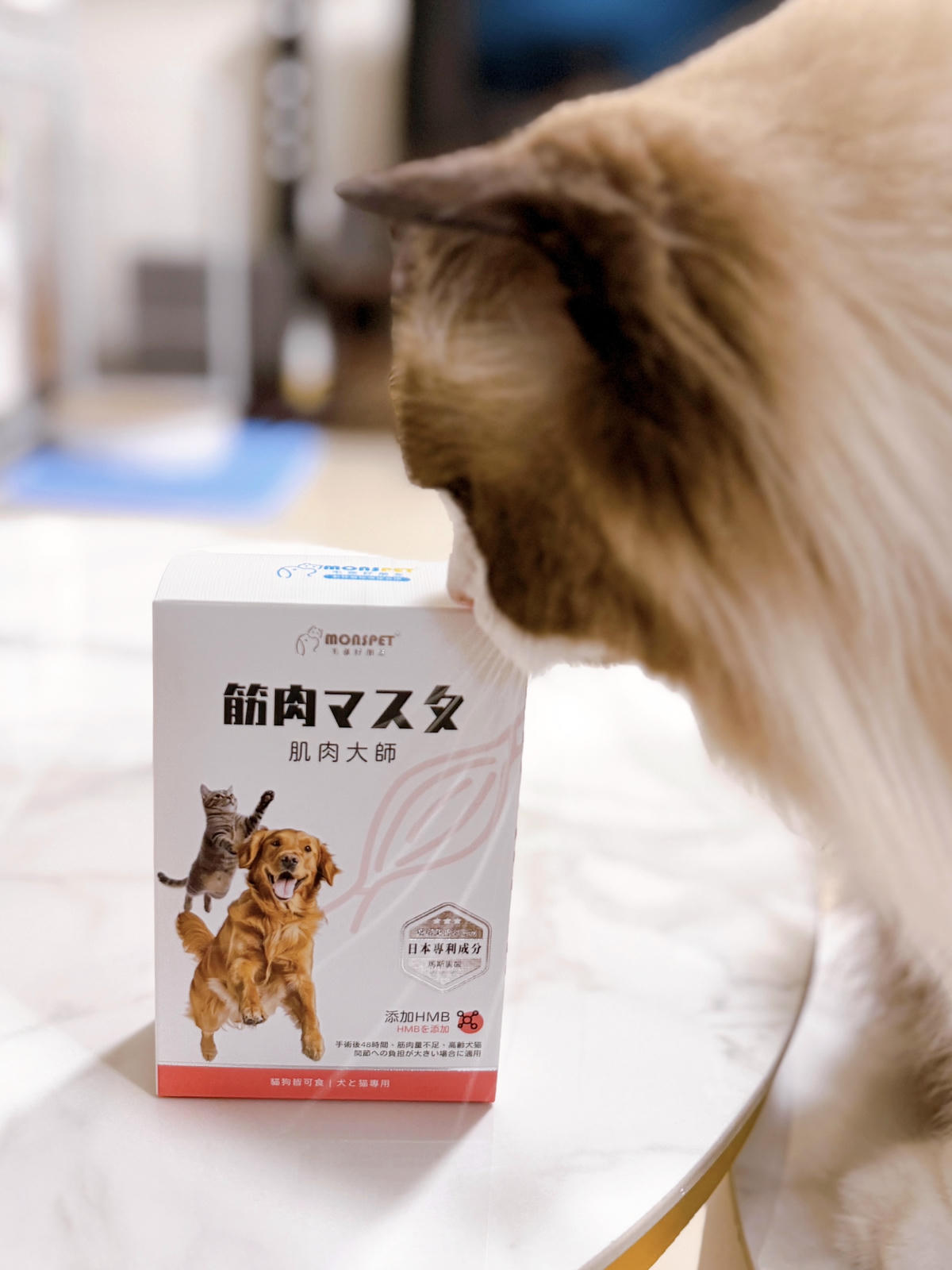 肌肉大師評價 寵物肌肉保健