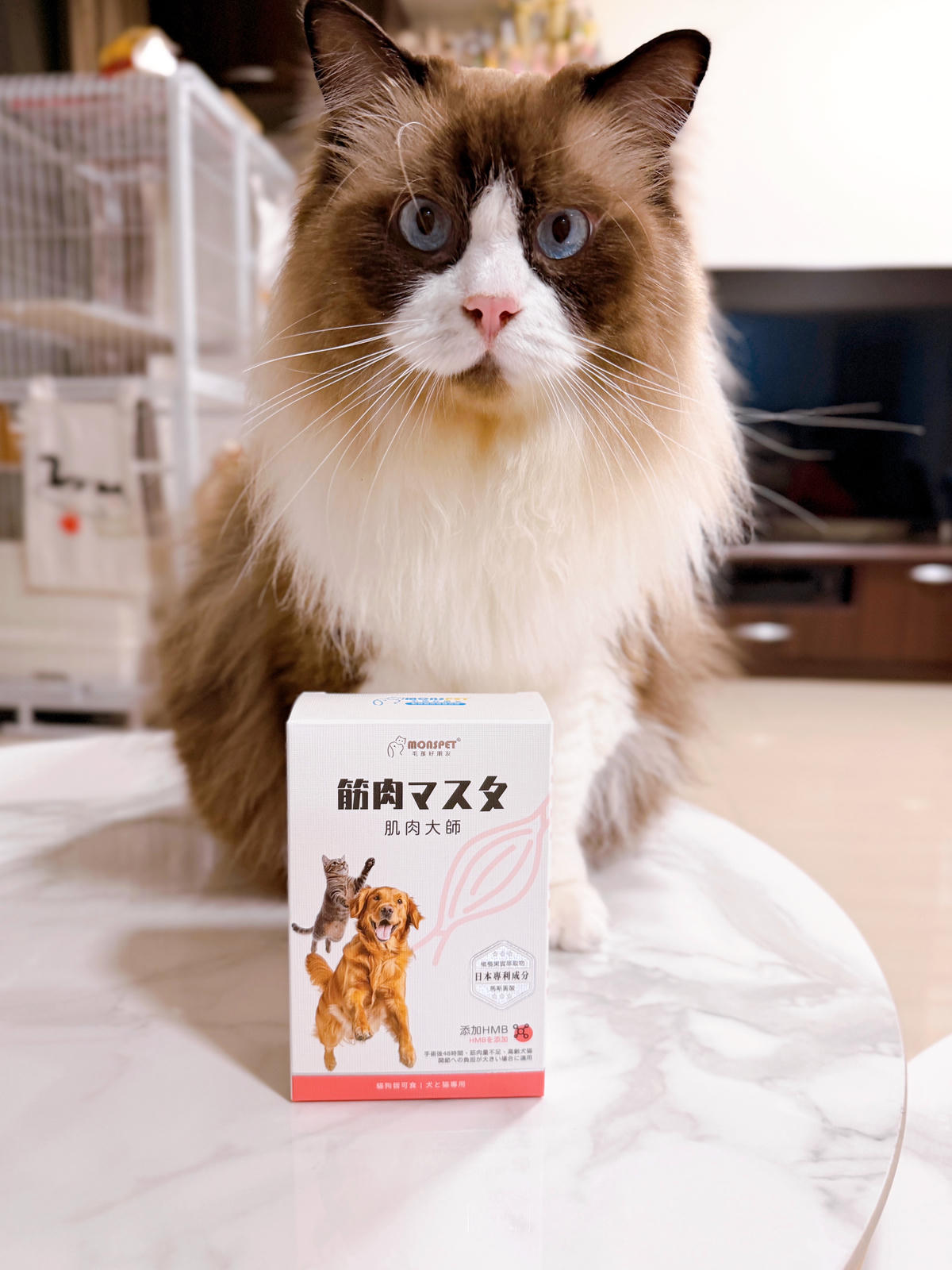 肌肉大師評價 寵物肌肉保健
