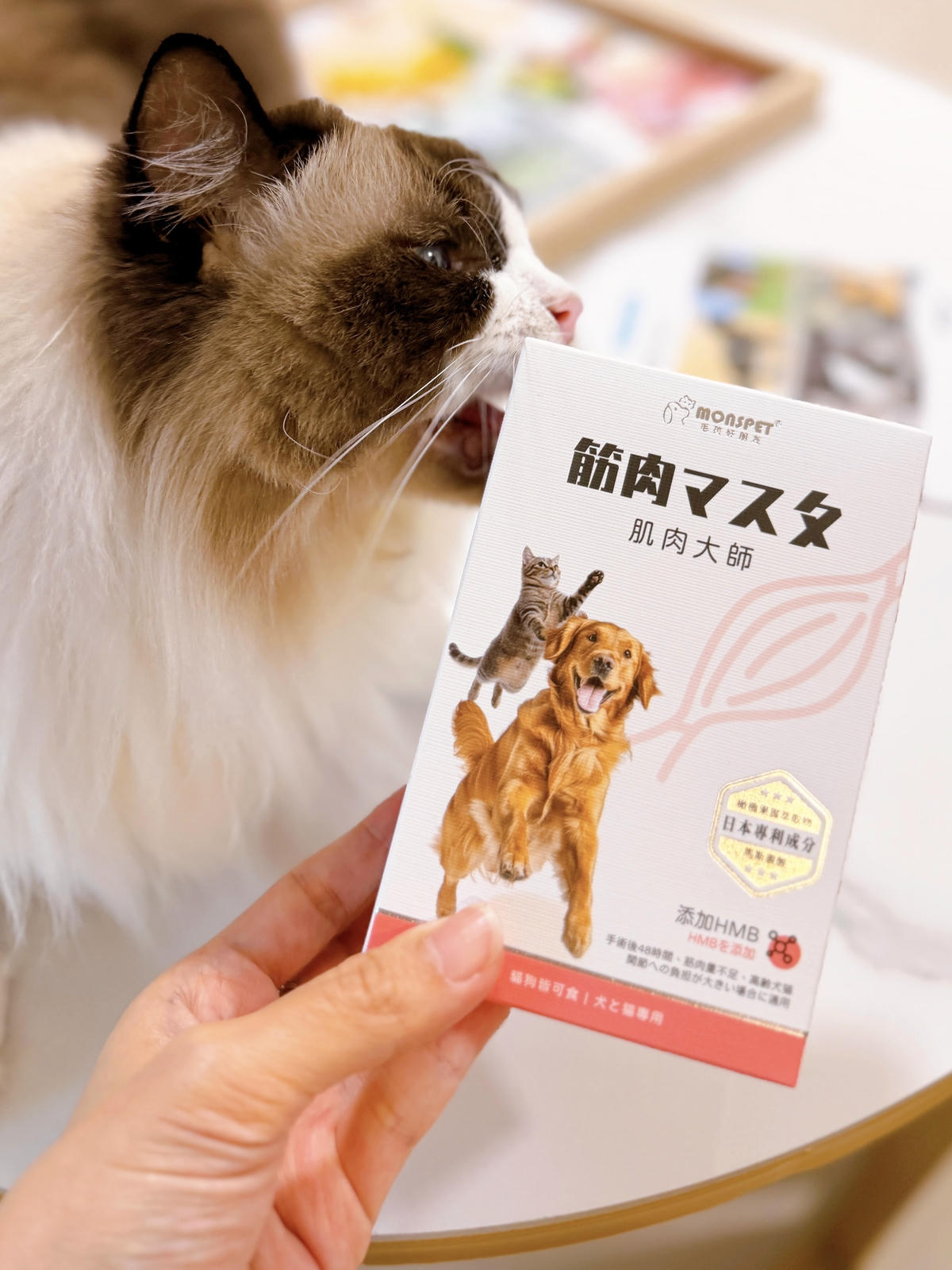 肌肉大師評價 寵物肌肉保健