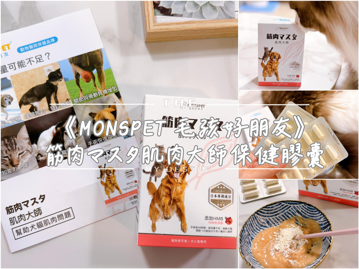 肌肉大師評價 寵物肌肉保健