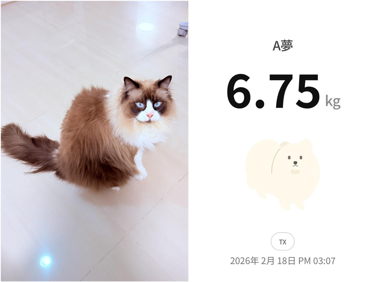 【atflee TX智慧體脂計評價】飲控體脂計分享,從數據開始調整體態.智慧體重計開箱/飲控體脂計分享/小小兵聯名款 - 第22張圖 atflee TX智慧體脂計