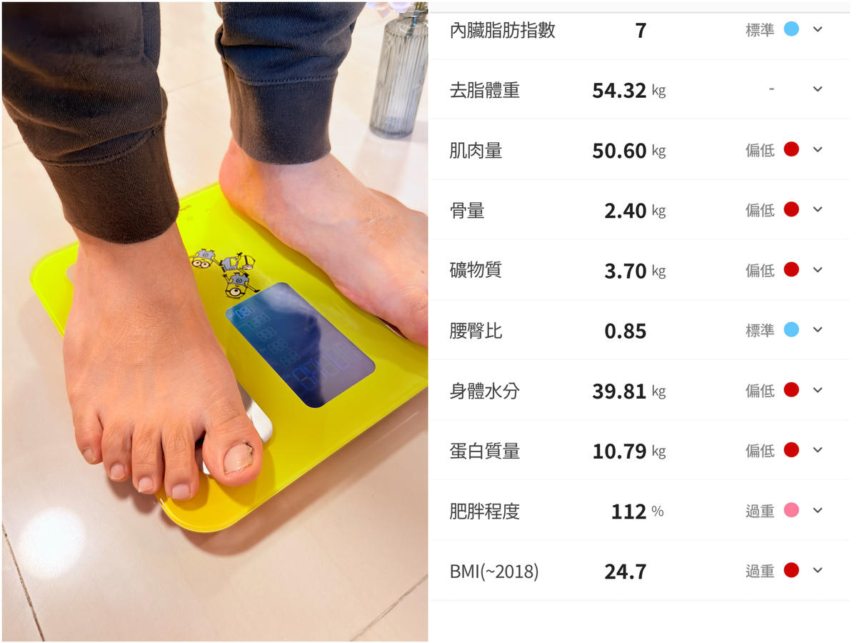 【atflee TX智慧體脂計評價】飲控體脂計分享,從數據開始調整體態.智慧體重計開箱/飲控體脂計分享/小小兵聯名款 - 第19張圖 atflee TX智慧體脂計