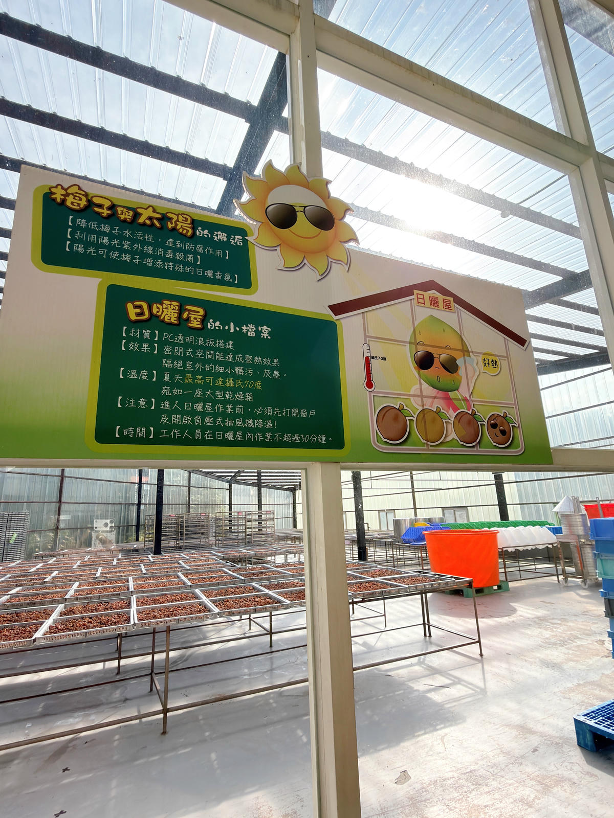 【嘉義特色親子景點】梅問屋梅子元氣館|暢遊免門票.闖關尋寶+梅酒DIY,一年四季都能玩的教育體驗/嘉義市內景點 - 第20張圖 嘉義親子景點推薦 梅問屋梅子元氣館