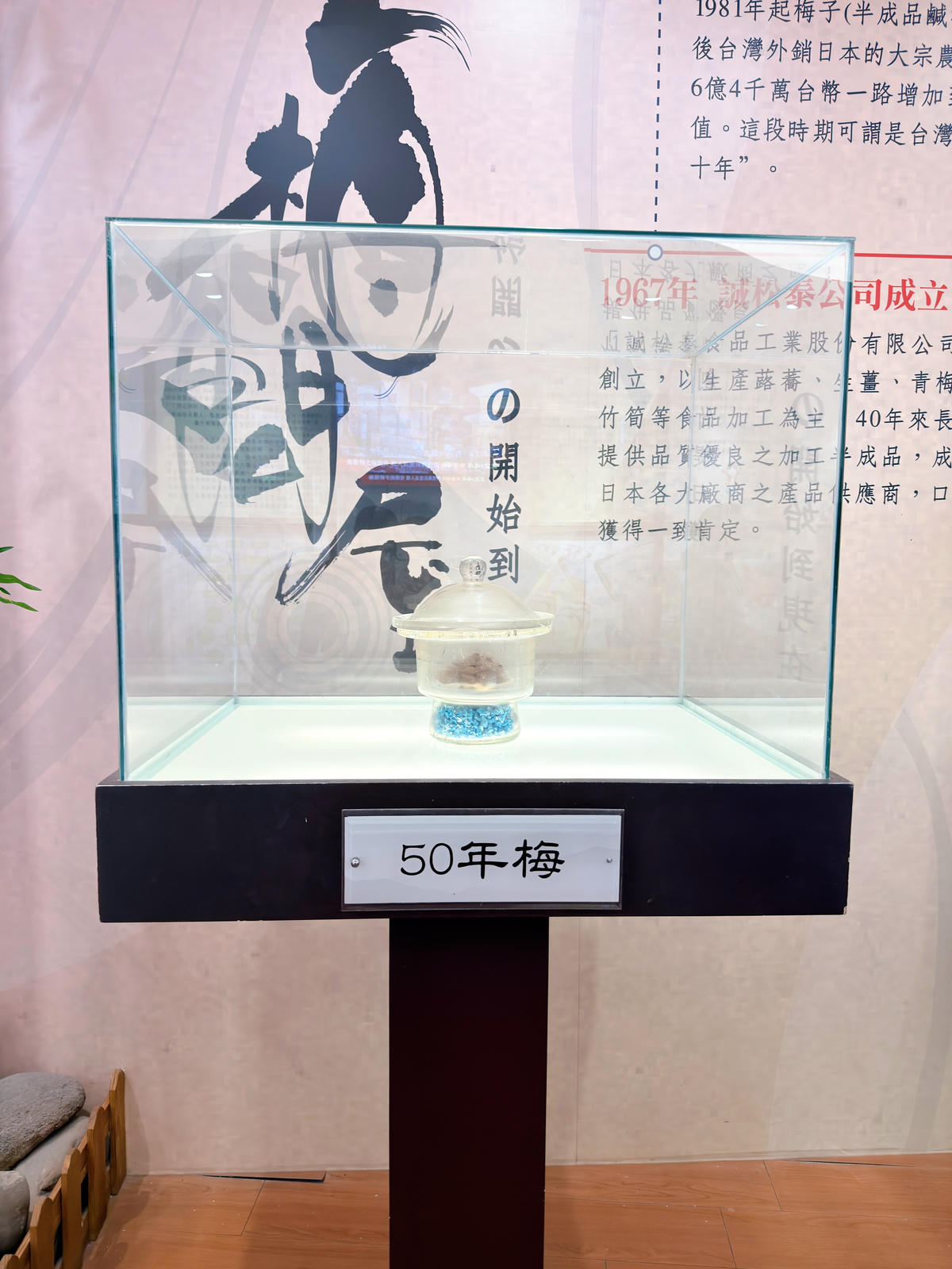 【嘉義特色親子景點】梅問屋梅子元氣館|暢遊免門票.闖關尋寶+梅酒DIY,一年四季都能玩的教育體驗/嘉義市內景點 - 第12張圖 嘉義親子景點推薦 梅問屋梅子元氣館