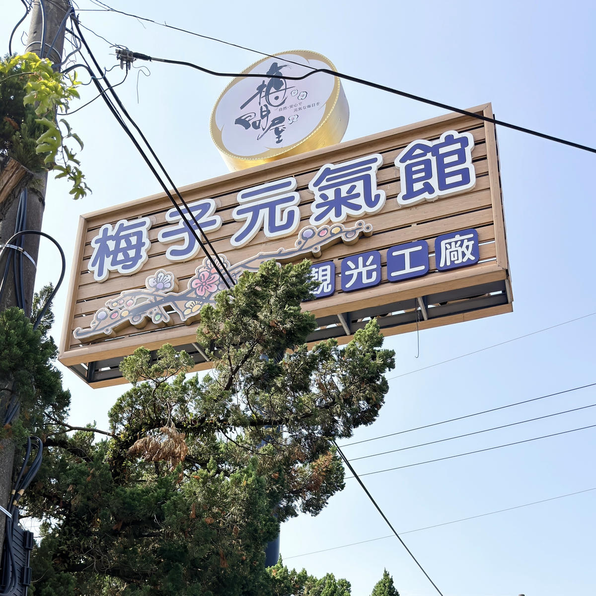 【嘉義特色親子景點】梅問屋梅子元氣館|暢遊免門票.闖關尋寶+梅酒DIY,一年四季都能玩的教育體驗/嘉義市內景點 - 第2張圖 嘉義親子景點推薦 梅問屋梅子元氣館