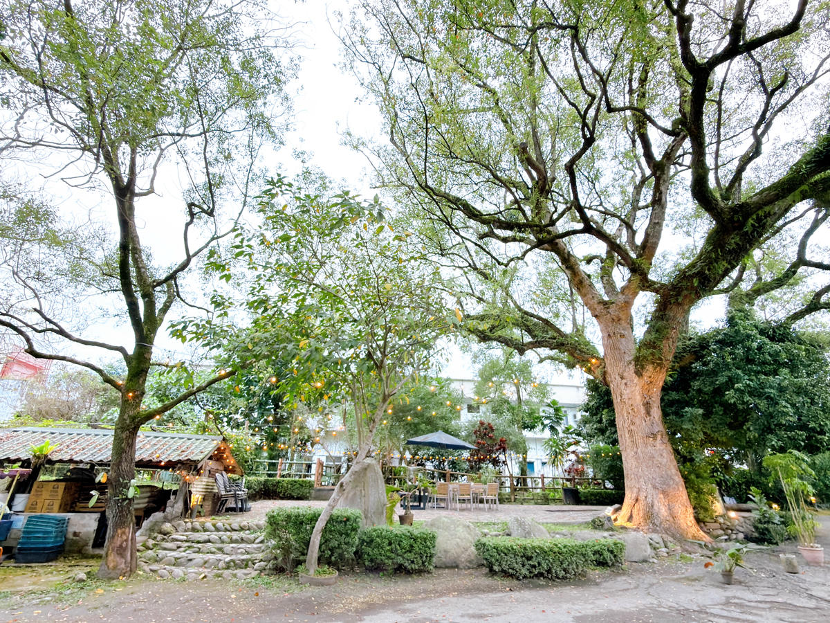 【花蓮民宿推薦】芳草古樹花園.餐廳民宿|慢活鳳林住進菸樓、親子友善、餐廳咖啡廳一次滿足 - 第3張圖 芳草古樹花園 餐廳 民宿