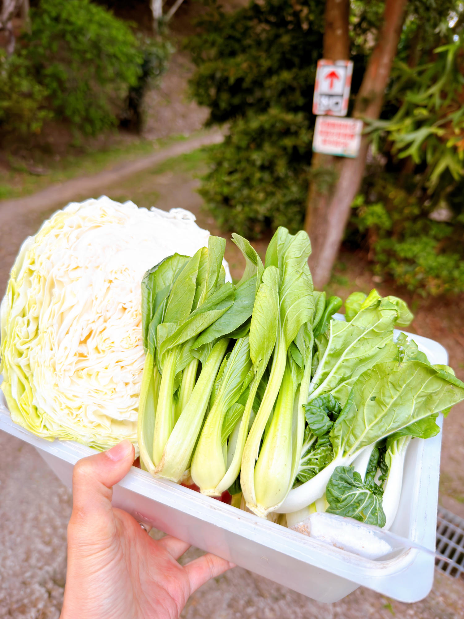 新竹尖石夢田營區 懶人露營